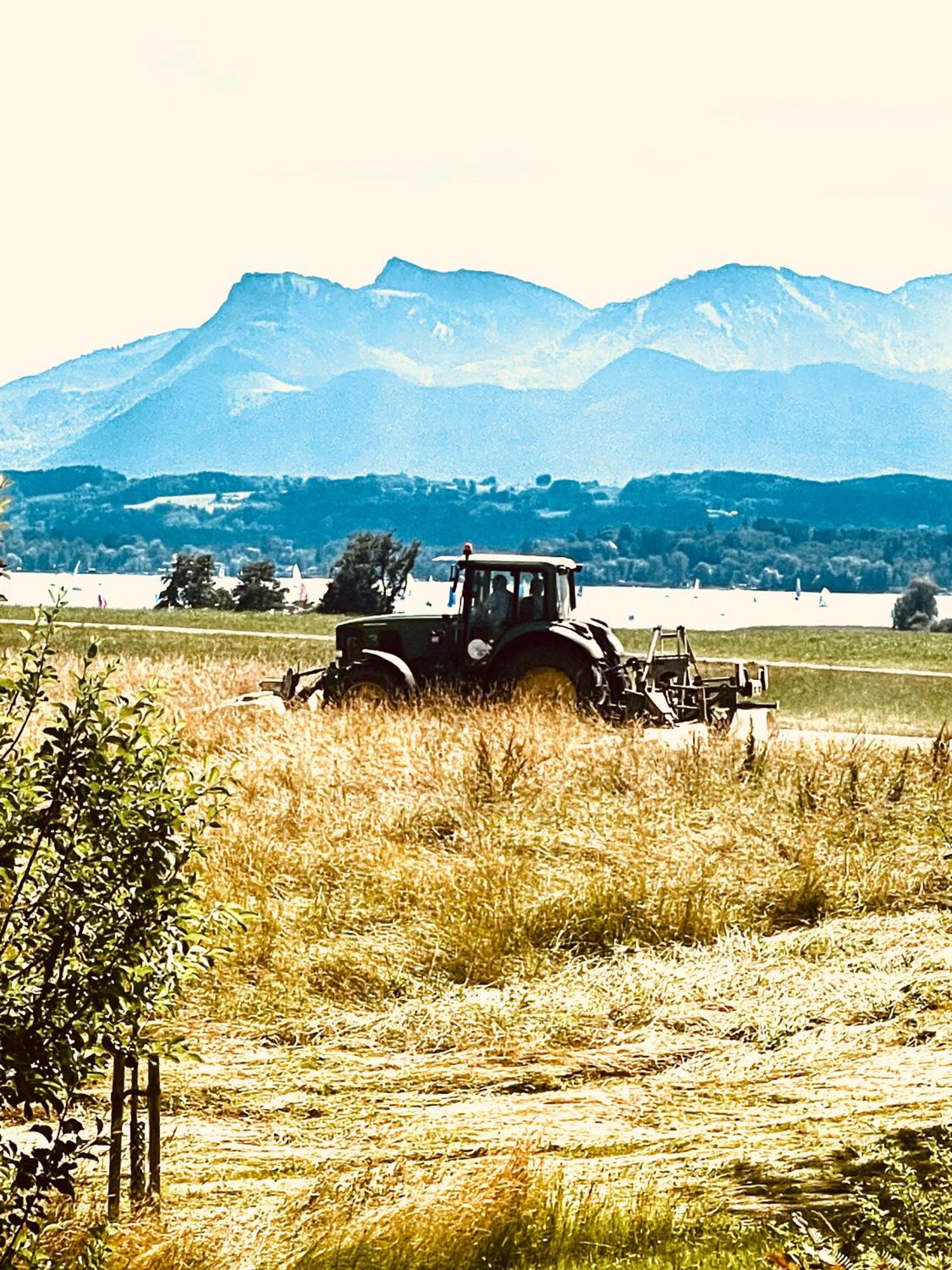 Zuhaeusl Am Chiemsee Appartements 브라이트브룬 암 힘제 외부 사진