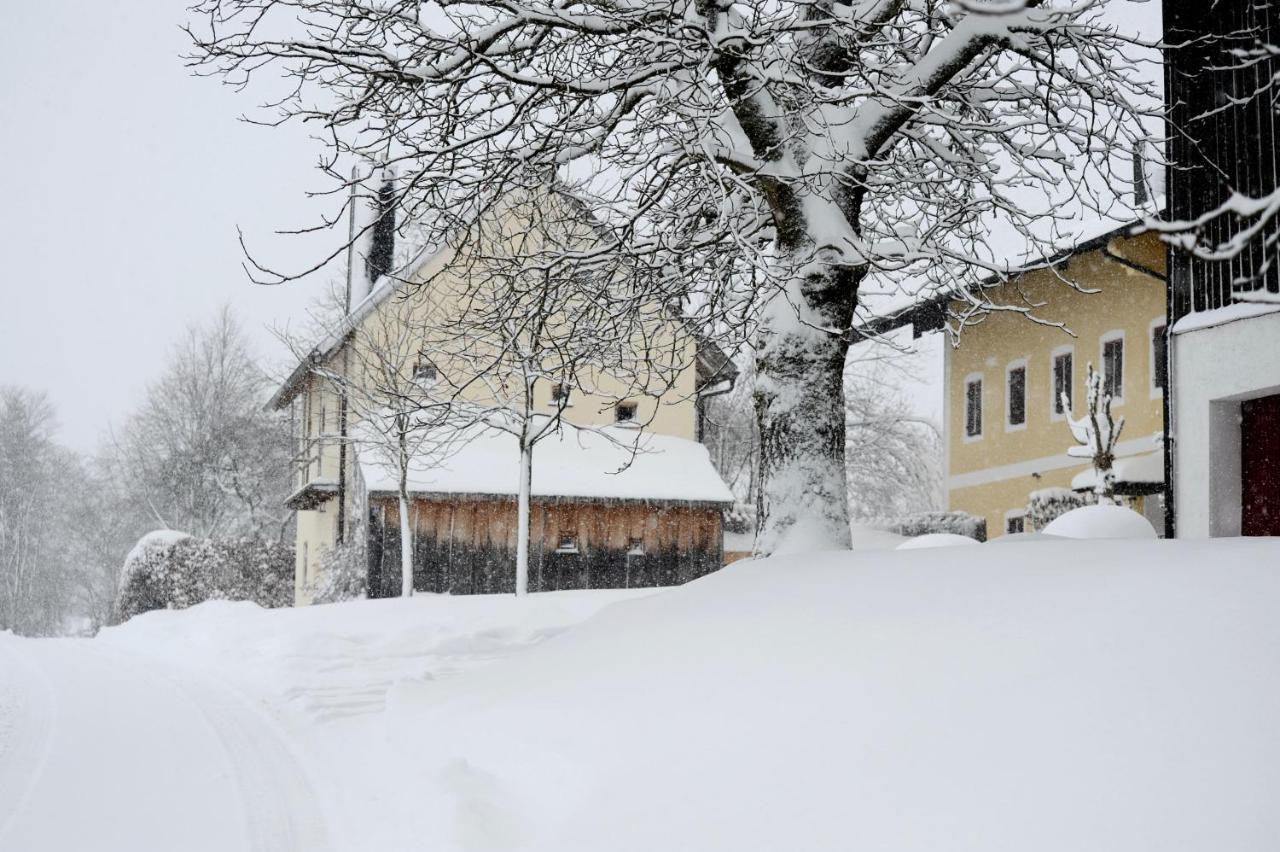 Zuhaeusl Am Chiemsee Appartements 브라이트브룬 암 힘제 외부 사진